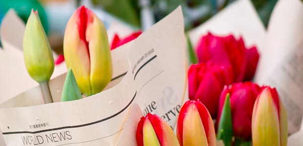 好きな花は…やっぱりバラ！
